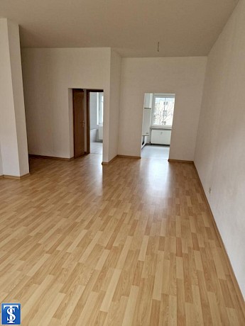 Gemütliche 1-Zimmer-Wohnung mit Einbauküche in gefragter Lage von Plauen-Preißelpöhl - Foto 3